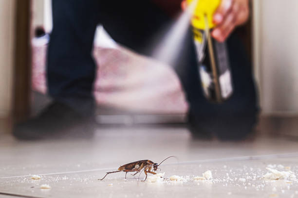 Best Residential Pest Control  in New Richmond, OH